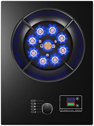 Gas Cooker, 1 Gas Cooker, 5.2KW 9-chamber Wok With Timer Function, NG/LPG Conversion Gas Cooker, Black Tempered Glass, Free-standing Cooker For Camping (Size : LPG)
