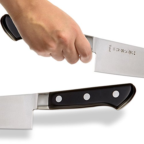 Ojiro DP Gyutou - 8.2" (21cm)