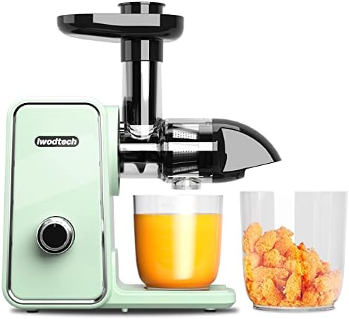 Slow Masticating Juicer, IWODTECH Juicer Machine With 2-Speed Modes, Easy-to-clean Cold Press Juicer With Silent Motor And Reverse Function, With 2 Cups(Galaxy Grey)