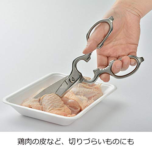 Oaks Kitchen Scissors, Disassemble And Washable, Stainless Steel, Made In Japan