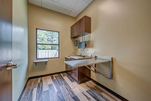 Classic Folding Longitudinal Wall Mounted Exam Table