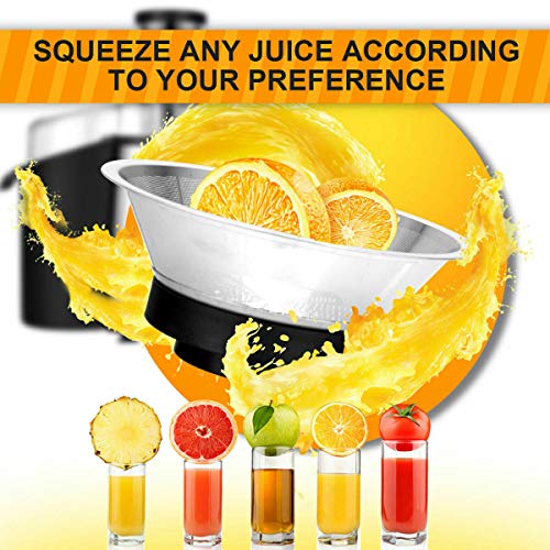 Juice Extractor, 75MM Wide Mouth Stainless Steel Juicer Machines, 2-Speed Setting High Speed Masticating Juicer Machine For Fruits And Vegetable With Slag Pot And Juice Jug, BPA-Free