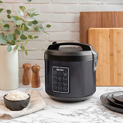 ROMA® 12-Cup (Cooked) Digital Rice & Grain Multicooker (ARC-966BD)