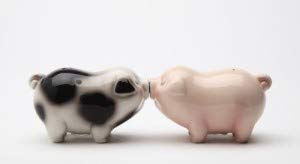  Kissing Passion Piggies Collectible Salt & Pepper Shaker Set