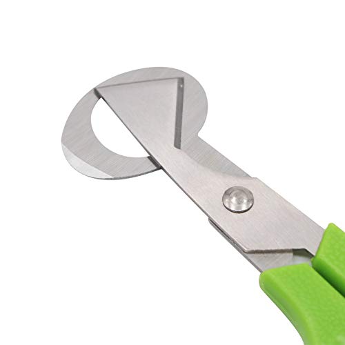  Quail Egg Cutter Scissors Stainless Steel Pigeon Bird Egg Opener Pack Of 12