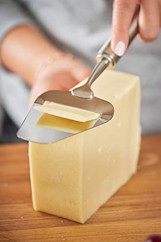 Rösle Stainless Steel Sturdy Cheese Plane, 9.5-inch, Silver