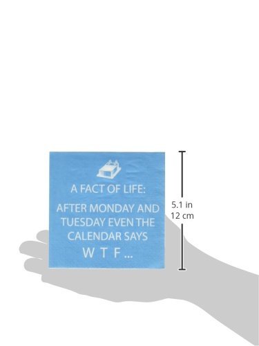  Ve Beverage Paper Napkins – Tabletop Disposable Kitchen Cocktail Napkin – For Lunch, Dinner, Birthdays, Parties, Celebrations, Holidays – Set Of 20, Wtf Design