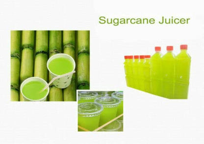  800W Commercial Electric Sugar Cane Juicer Sugarcane Juice Press Machine 220V