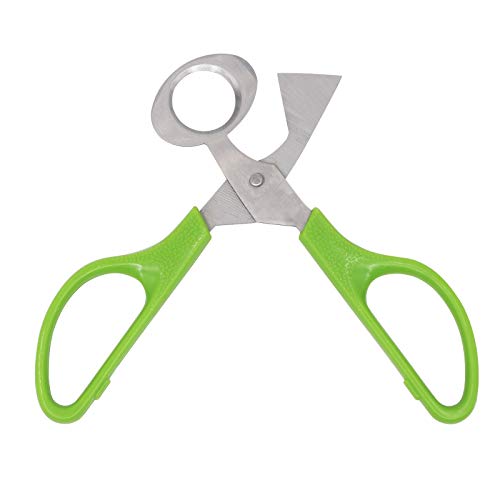  Quail Egg Cutter Scissors Stainless Steel Pigeon Bird Egg Opener Pack Of 12