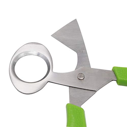  Quail Egg Cutter Scissors Stainless Steel Pigeon Bird Egg Opener Pack Of 12