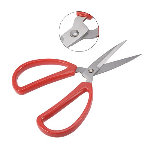  6 Inch Stainless Steel Scissor For Office Home Cutting, Straight Red Handle