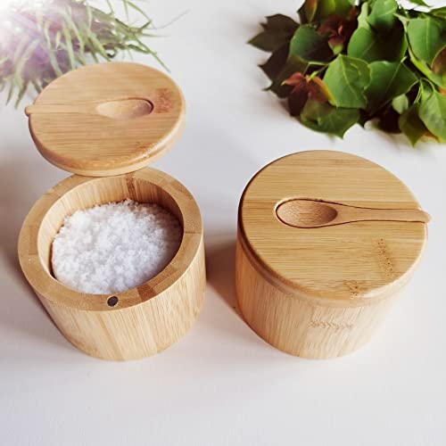  Bamboo Big Dipper Large Salt Cellar With Spoon And Magnetic Swivel Lid, 10 Ounce Storage Box