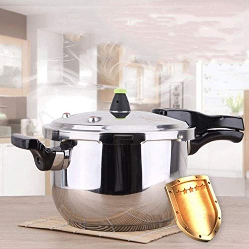  Pressure Cooker- Electric Pressure Cooker Steamer Pot Rice Cooker Slow Cooker Egg Cooker Multi Cooker