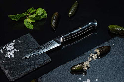  Paring Knife- 3.5 Inch - Damascus Japanese- VG10 Super Steel 67 Layer High Carbon Stainless Steel- Razor Sharp, Stain & Corrosion Resistant, Awesome Edge Retention