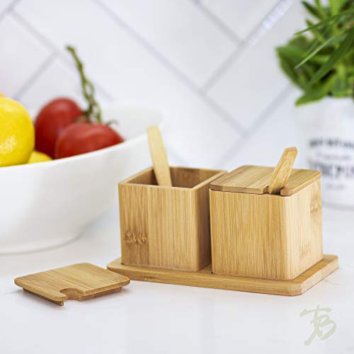  Double Dipper Two Salt Boxes With Spoons And Tray, 6 Ounce Capacity Each