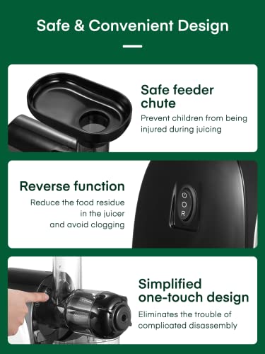  Masticating Juicer Machines, Juilist Cold Press Juicer Machines Vegetable And Fruit With Quiet Motor & Reverse Function, Slow Juicer Extractor Easy To Clean With Brush, Recipe Included