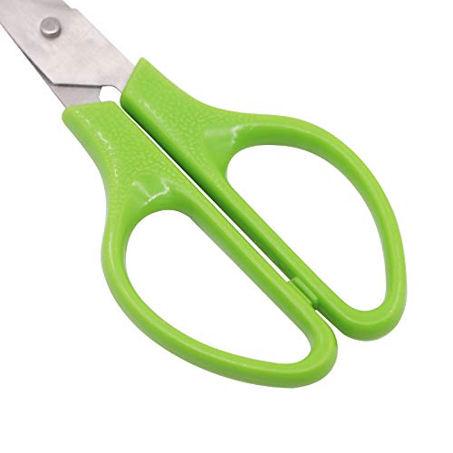  Quail Egg Cutter Scissors Stainless Steel Pigeon Bird Egg Opener Pack Of 12