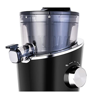  Ana 848 Easy Clean Vertical Juicer - Low Speed 43 RPM - Quiet - 15 Year Warranty Carrots Celery Wheatgrass Greens (Matte Black)