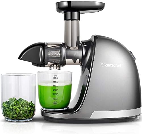  Masticating Juicer Machines, AMZCHEF Slow Cold Press Juicer With Reverse Function, High Juice Yield, Easy Clean With Brush,Recipes For High Nutrient Fruits And Vegetables, Gray(Updated)
