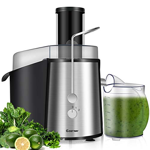  Juice Extractor, 75MM Wide Mouth Stainless Steel Juicer Machines, 2-Speed Setting High Speed Masticating Juicer Machine For Fruits And Vegetable With Slag Pot And Juice Jug, BPA-Free
