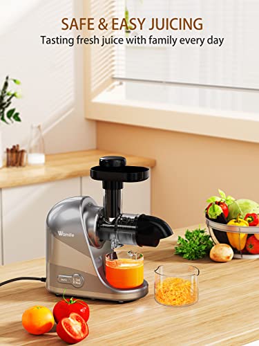  Slow Masticating Juicer Machine, Cold Press Juicer Extractor, 2 Modes & Reverse Function For High Nutrient Fruit & Vegetable Juice, Quiet Motor, With Cup & Brush(Gray)