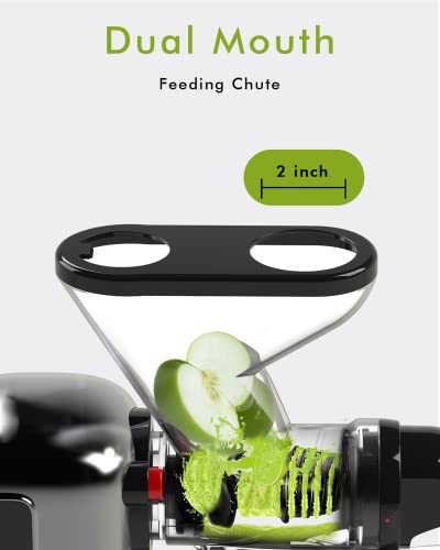  Masticating Juicer Machines, SiFENE Slow Juicer Machines, Compact Design Cold Press Juicer, Dual Feed Chute Masticating Juicer, Juice Maker Extractor, Easy To Clean, Quiet Motor & Reverse Function, Brush& Recipes Included