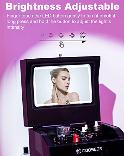  Acrylic Skincare Fridge 10 Liter With Adjustable HD Mirror Light Thermostatic Mini Beauty Fridge With Removable Divider Shelf, Cosmetic Fridge For Makeup, Bedroom, Office, Room