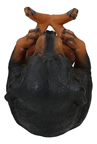 Lifelike Purebreed Pedigree Canine Adorable Rottweiler Butcher's Dog Wine Bottle Holder Figurine Statue As Kitchen Wine Cellar Centerpiece Decor Storage Organizer (Rottweiler)