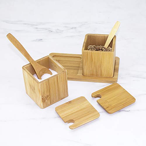  Double Dipper Two Salt Boxes With Spoons And Tray, 6 Ounce Capacity Each