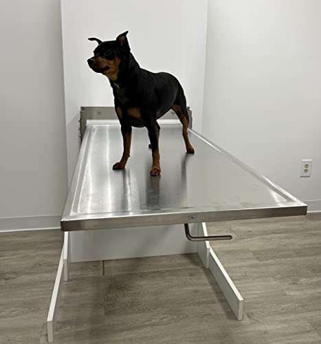  Classic Folding Longitudinal Wall Mounted Exam Table