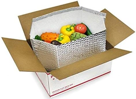  ABC Foil Insulated Box Liners 8" X 8" X 8", Pack Of 10 Insulated Shipping Boxes For Frozen Food, Double-Layer Insulated Shipping Containers, Leakproof Cold Shipping Boxes For Frozen Fish, Meat