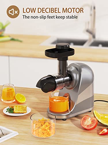  Slow Masticating Juicer Machine, Cold Press Juicer Extractor, 2 Modes & Reverse Function For High Nutrient Fruit & Vegetable Juice, Quiet Motor, With Cup & Brush(Gray)