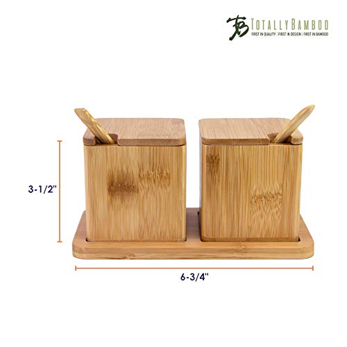  Double Dipper Two Salt Boxes With Spoons And Tray, 6 Ounce Capacity Each