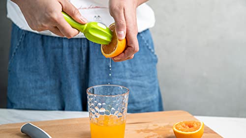  Handheld Citrus Reamer With Rounded Comfort Handle, Durable And Non-BPA Melamine (1.6" By 5.65", Kiwi Color)