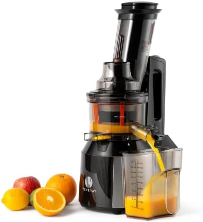  Slow Press Masticating Juicer,Easy To Clean,BPA Free,Vegetable,Fruits Juice,Compact,Black