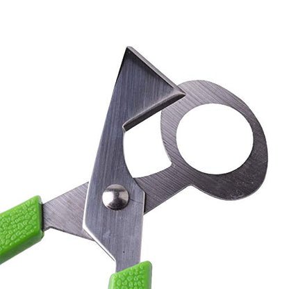  Set Of 6 Stainless Steel Green Quail Egg Shell Cutters Separator Cracker Opener Stainless Steel Blade Tool.