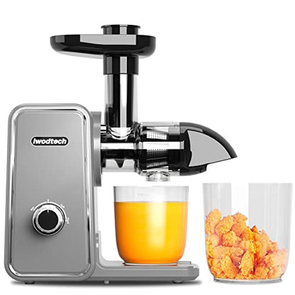  Slow Masticating Juicer, IWODTECH Juicer Machine With 2-Speed Modes, Easy-to-clean Cold Press Juicer With Silent Motor And Reverse Function, With 2 Cups（Galaxy Grey）