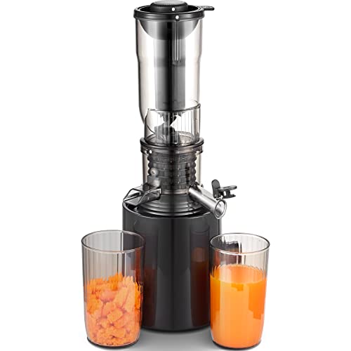  Compact Slow Juicer Sliver