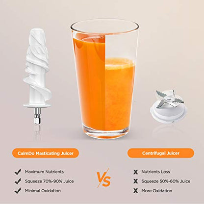  E3C Juice Extractor, Slow Juicer Cold Press With Reverse Function, Anti-Drip And Silent Motor, BPA Free Ceramic Screws, For Fruit And Vegetables, Ice Cream