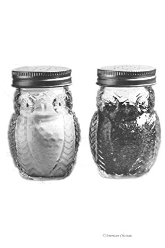  Elegant Owl Shaped Glass Mason Salt And Pepper Shakers With Metal Lids, Perfect For Himalayan Seasoning Herbs Spices, 2-Piece Set