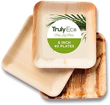  Palm Leaf Plates - Like Bamboo Plates Disposable - Compostable, Biodegradable & Eco Friendly - Appetizer & Dessert Plates For Party - Better Than Paper Plates (40, 6” Square Plates)