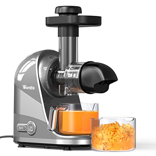  Slow Masticating Juicer Machine, Cold Press Juicer Extractor, 2 Modes & Reverse Function For High Nutrient Fruit & Vegetable Juice, Quiet Motor, With Cup & Brush(Gray)