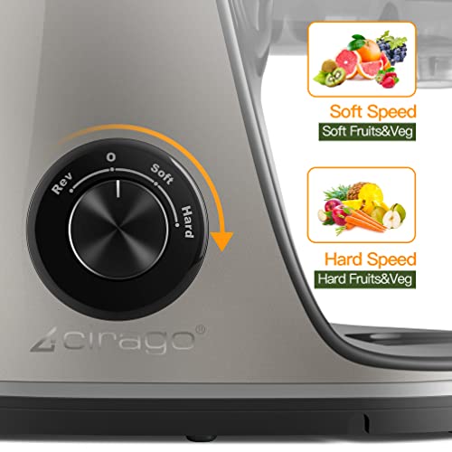  IRAGO Juicer Machines, Slow Masticating Juicer Extractor Two Speed Adjustment, Easy To Clean, Quiet Motor, Cold Press Juicer For Vegetables And Fruits, BPA-Free (Grey)