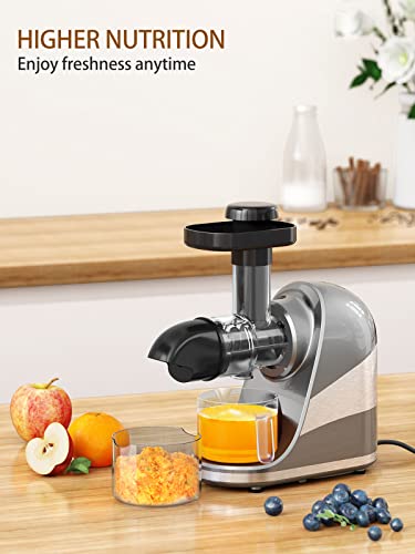  Slow Masticating Juicer Machine, Cold Press Juicer Extractor, 2 Modes & Reverse Function For High Nutrient Fruit & Vegetable Juice, Quiet Motor, With Cup & Brush(Gray)