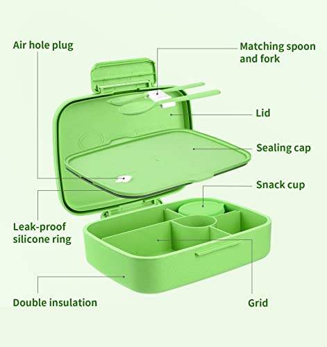  Bento Lunch Box, 5 Compartments Lunch Container For Kids & Adults With Snack Cup, Wheat Fiber Eco-Friendly Double Insulated Boxes, Dishwasher And Microwave Safe, BPA-Free (green)