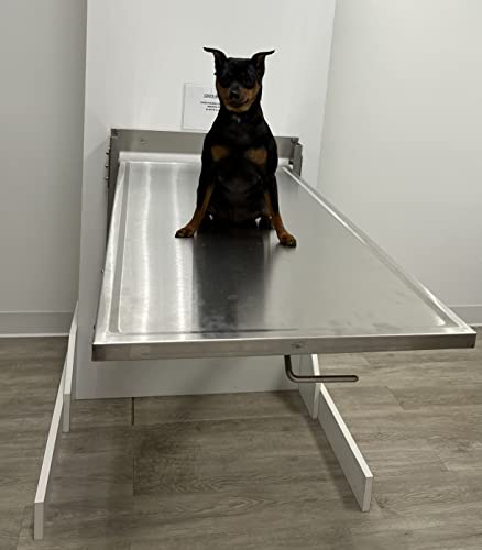  Classic Folding Longitudinal Wall Mounted Exam Table