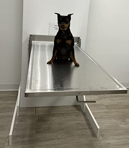  Classic Folding Longitudinal Wall Mounted Exam Table