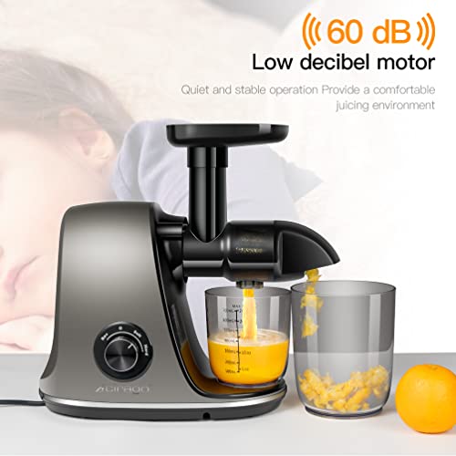  IRAGO Juicer Machines, Slow Masticating Juicer Extractor Two Speed Adjustment, Easy To Clean, Quiet Motor, Cold Press Juicer For Vegetables And Fruits, BPA-Free (Grey)