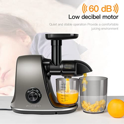  IRAGO Juicer Machines, Slow Masticating Juicer Extractor Two Speed Adjustment, Easy To Clean, Quiet Motor, Cold Press Juicer For Vegetables And Fruits, BPA-Free (Grey)