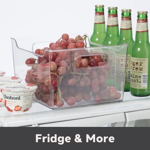  Storage Bin With Handles - Deep (9.75" X 9" X 6") - Ideal For Kitchen Organization, Pantry Storage, Fridge Organizing, Clear